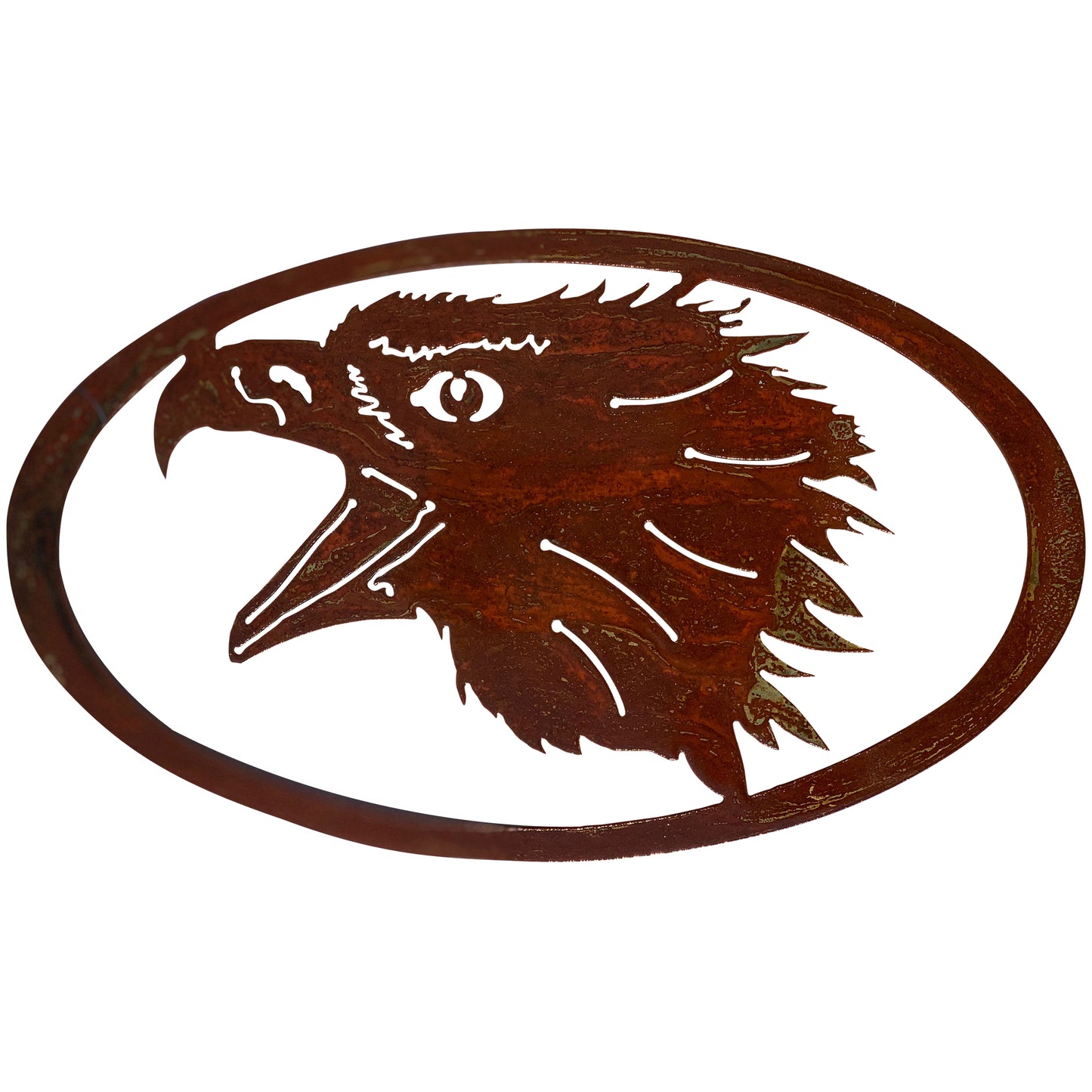 Eagle Head Oval Metal Decor