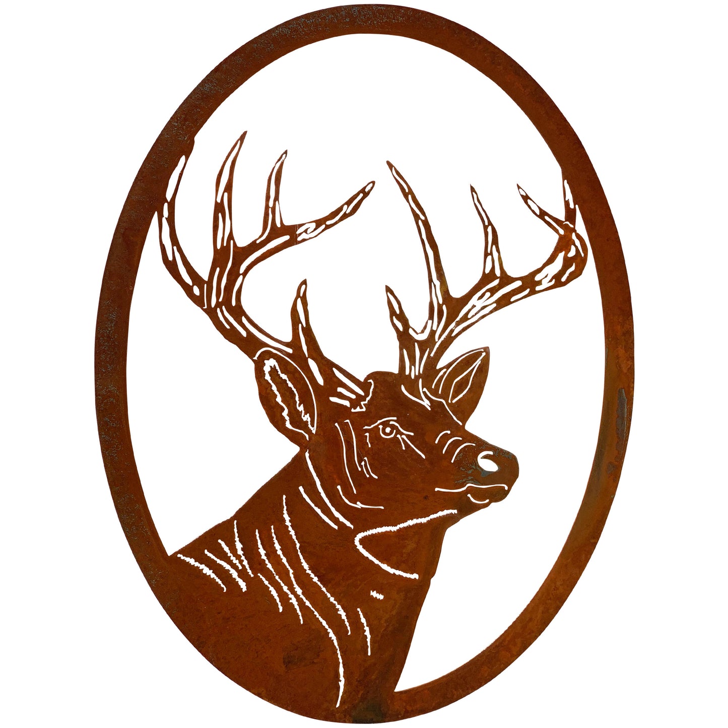 Deer Portrait Oval